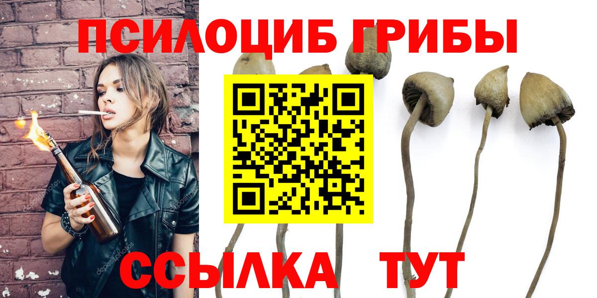 Богородицк  Псилоцибиновые грибы ЛСД  Вход с VPN 